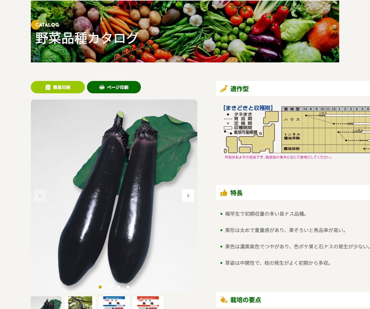 黒陽