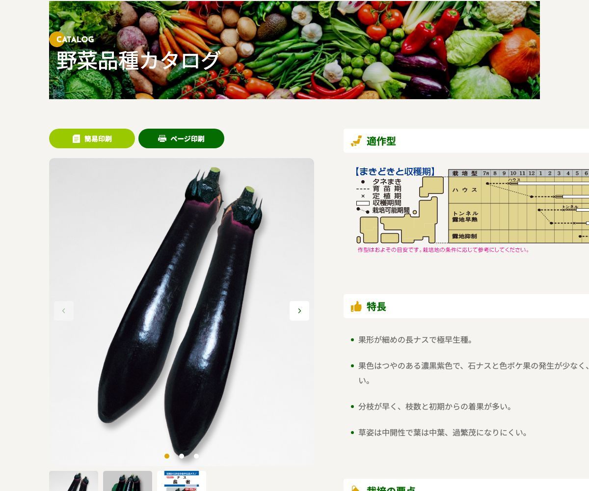 長者