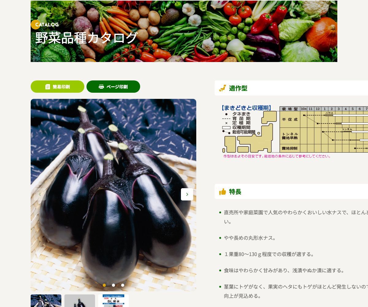 SL紫水