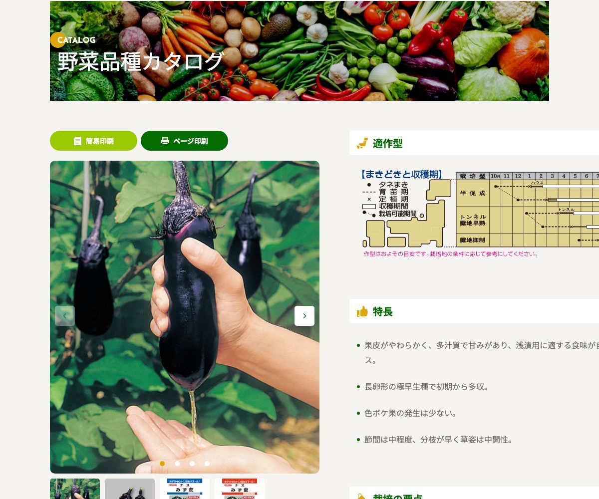 みず茄