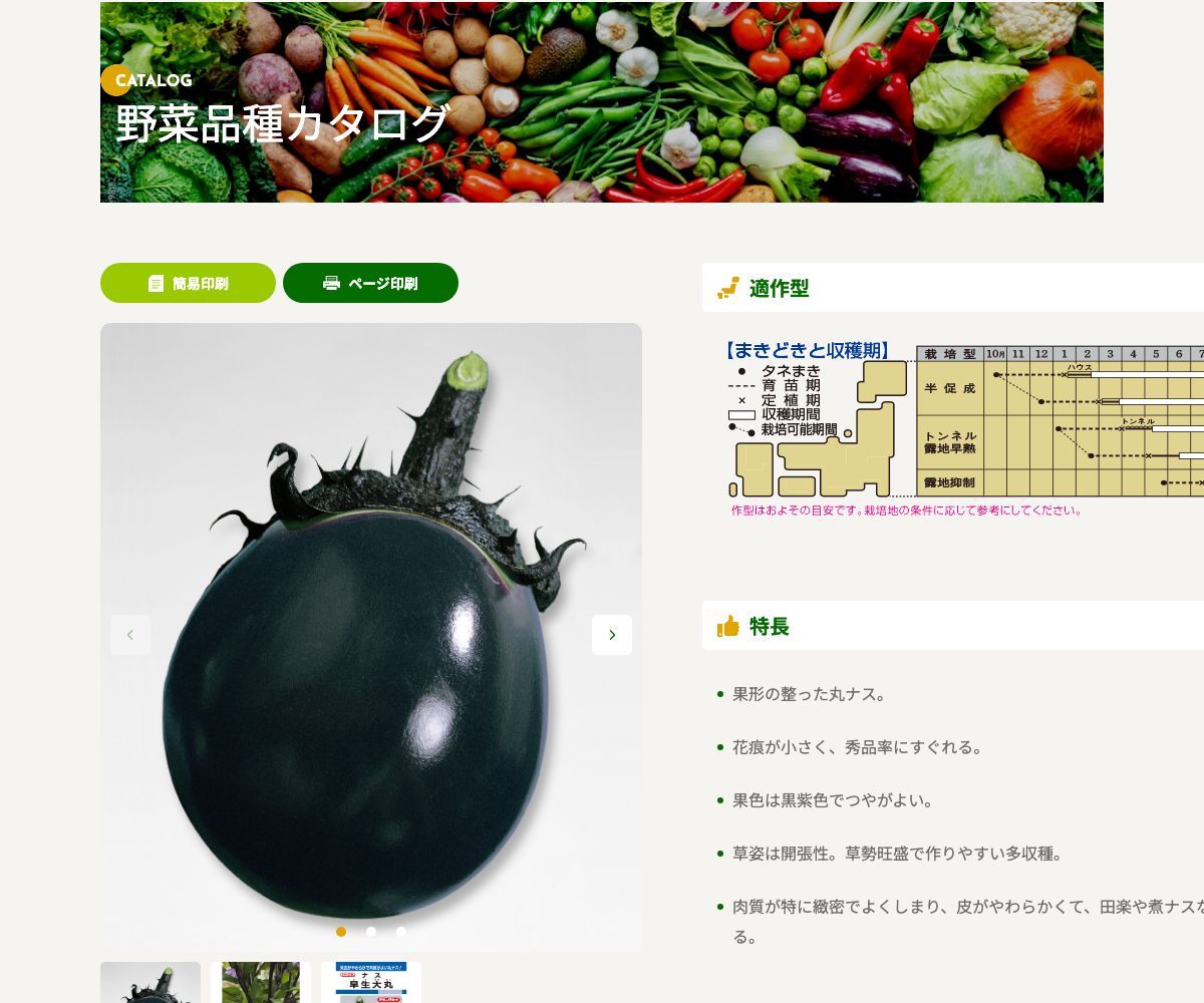 早生大丸
