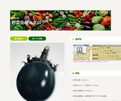 早生大丸の画像