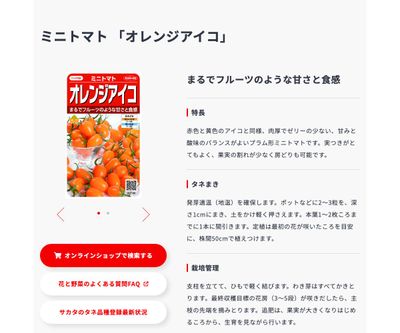 オレンジアイコ