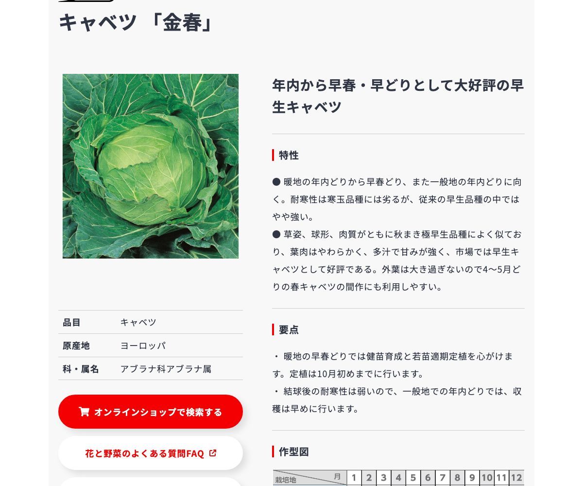 金春