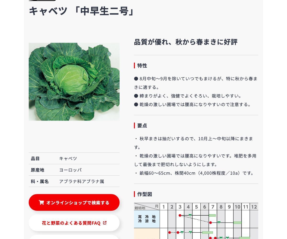 中早生二号