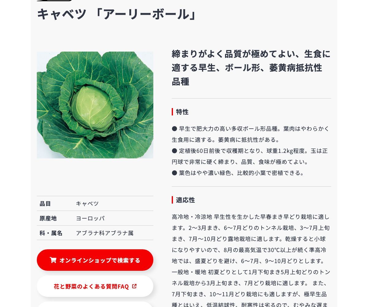 アーリーボール
