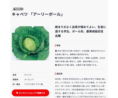 アーリーボールの画像