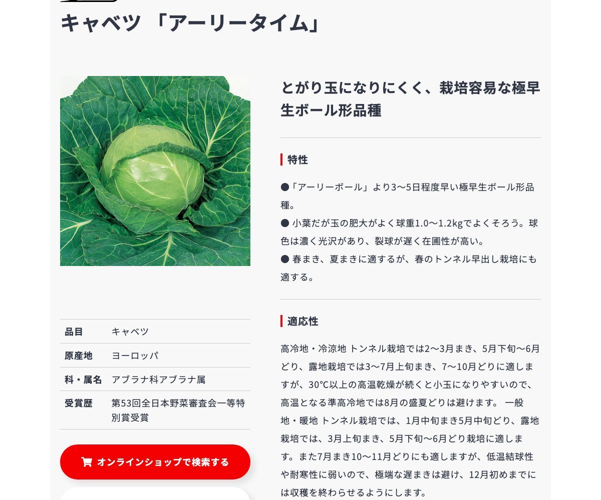 アーリータイム