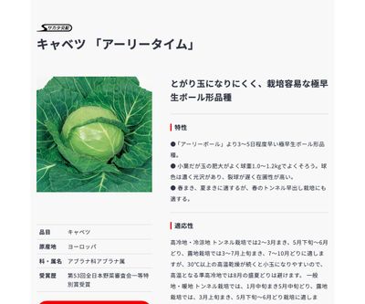 アーリータイムの画像