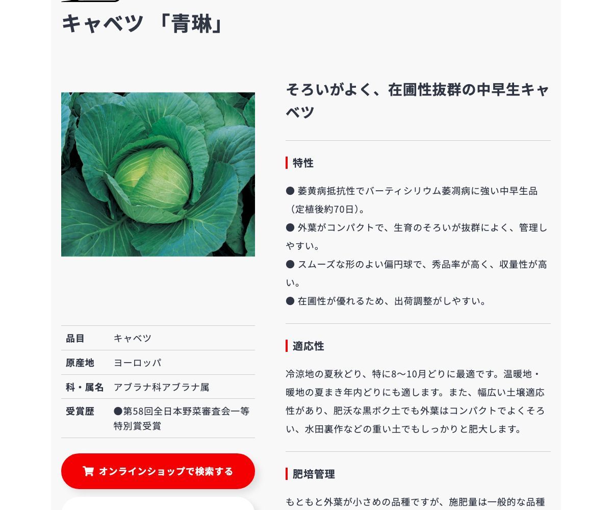 青琳