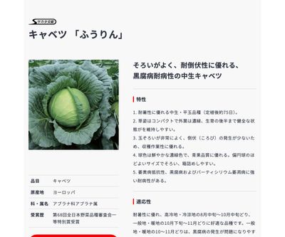 ふうりんの画像