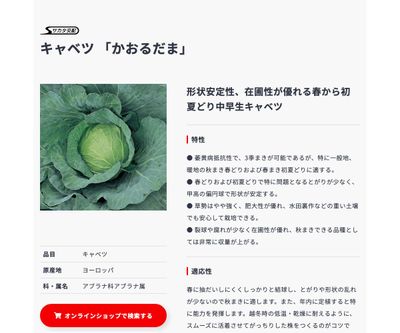 かおるだまの画像