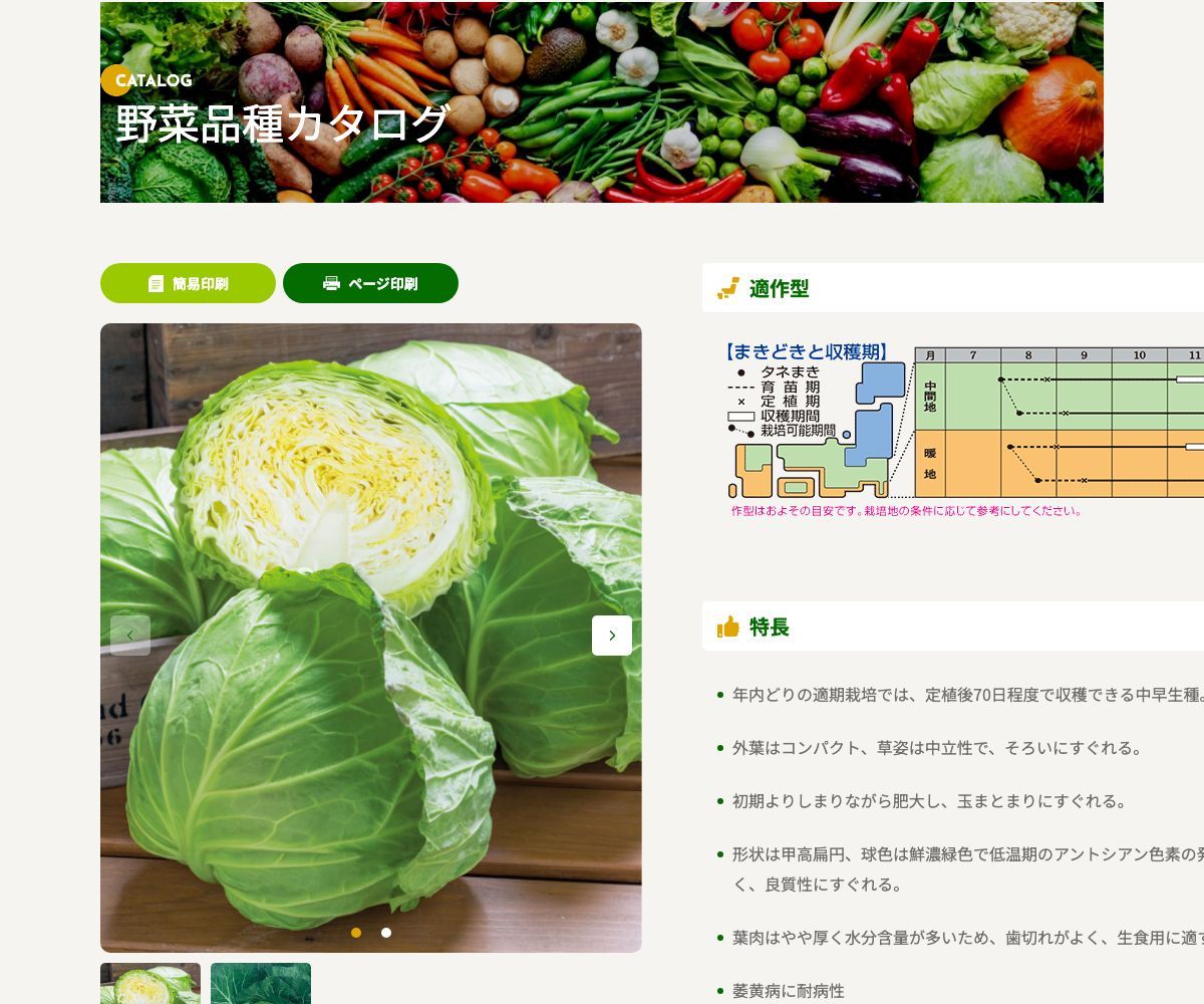 星岬SP