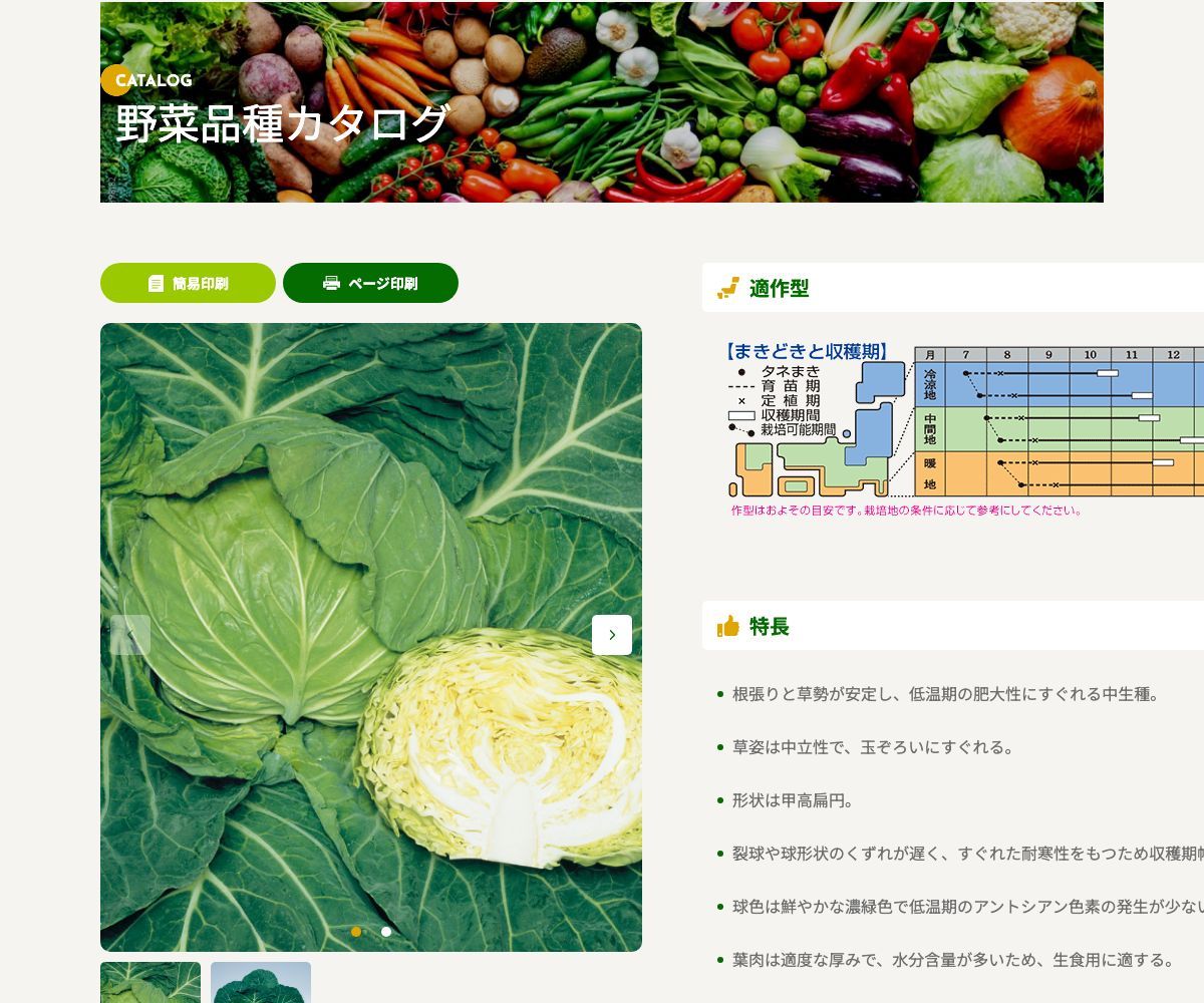 恋岬SP