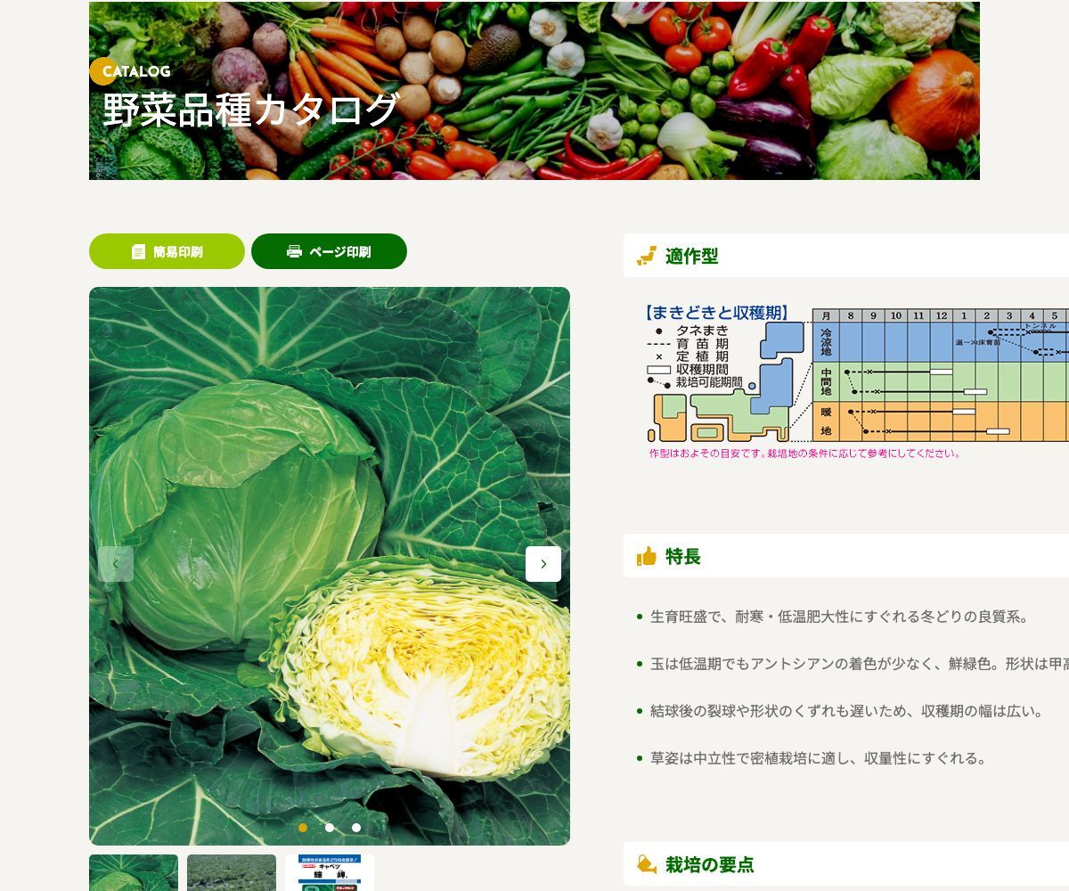 輝岬