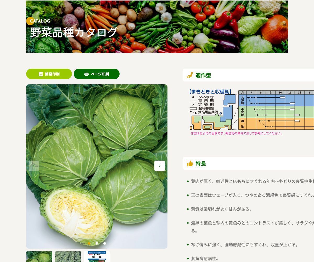 潮岬