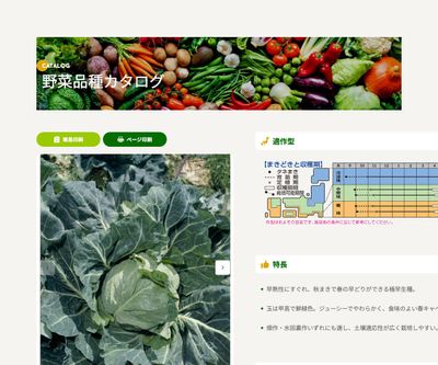 春ひかり七号の画像
