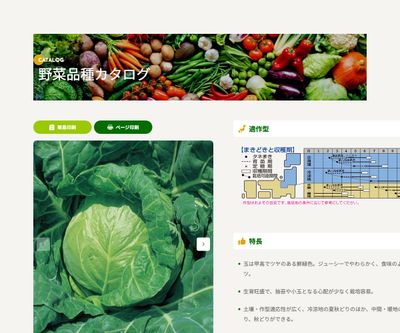 北ひかりの画像