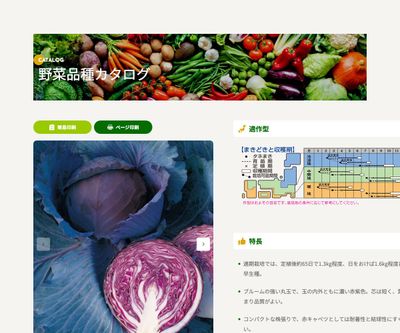 ルビーボールSPの画像