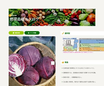 中生ルビーボールの画像