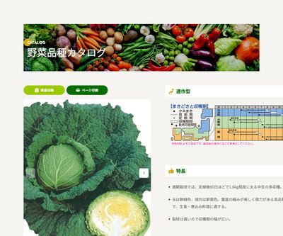 サボイエースSPの画像