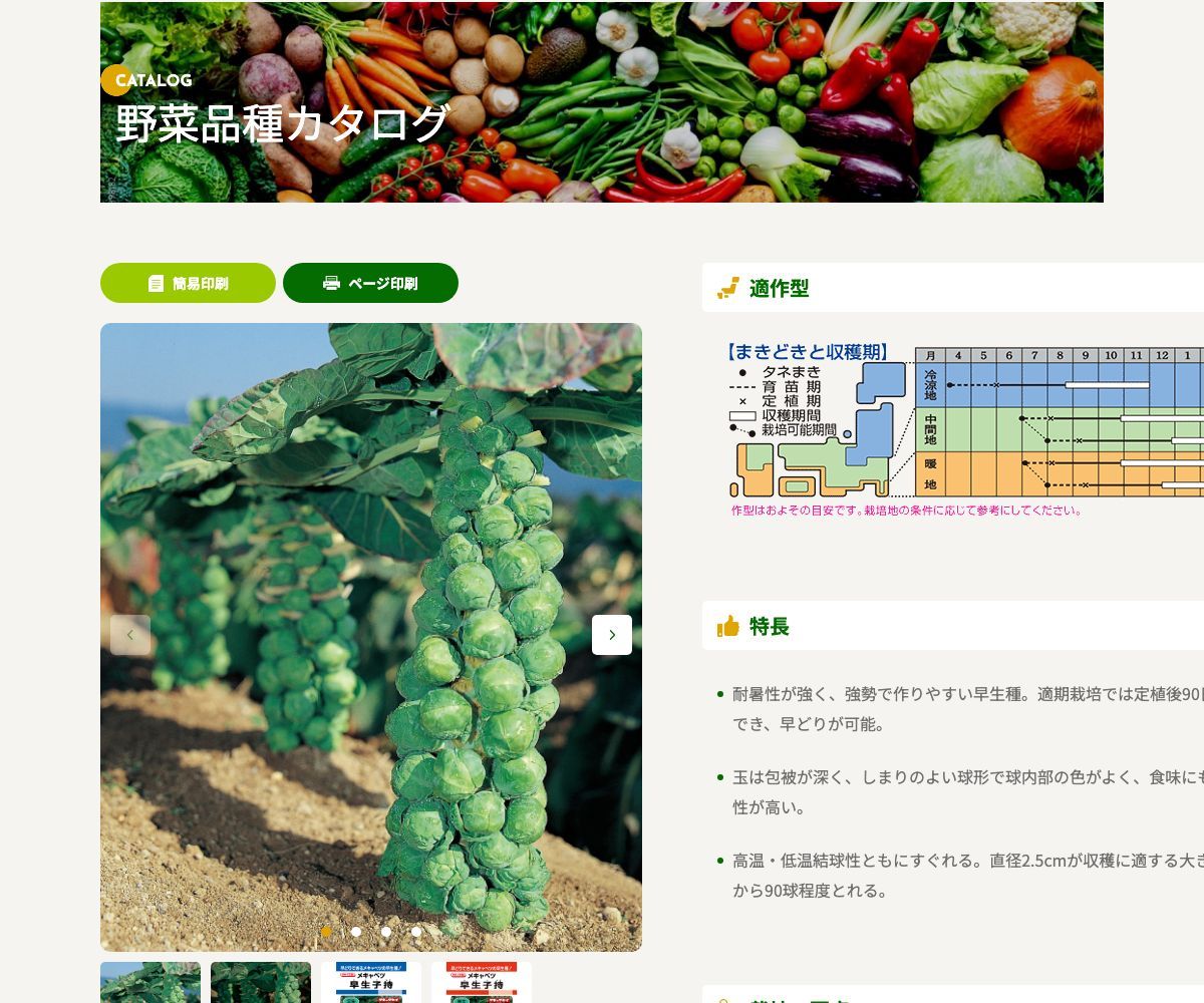 早生子持