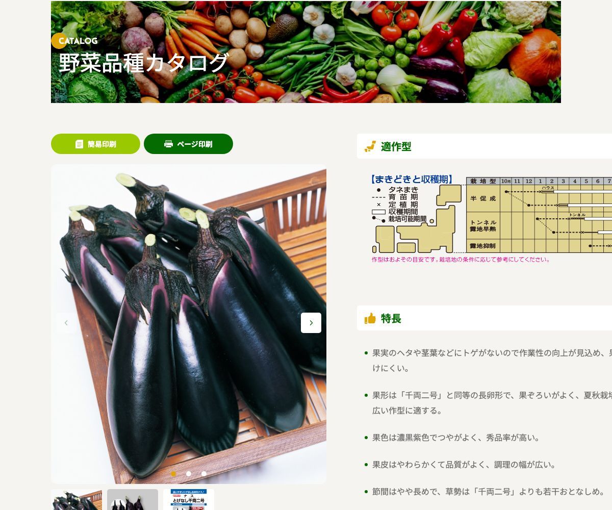 とげなし千両二号