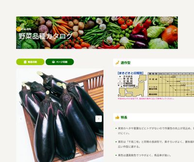 とげなし千両二号の画像