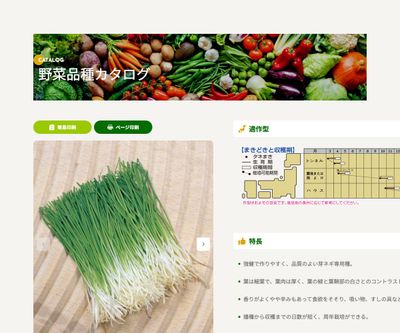 かおり芽ねぎの画像