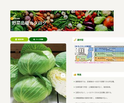 おきなSPの画像