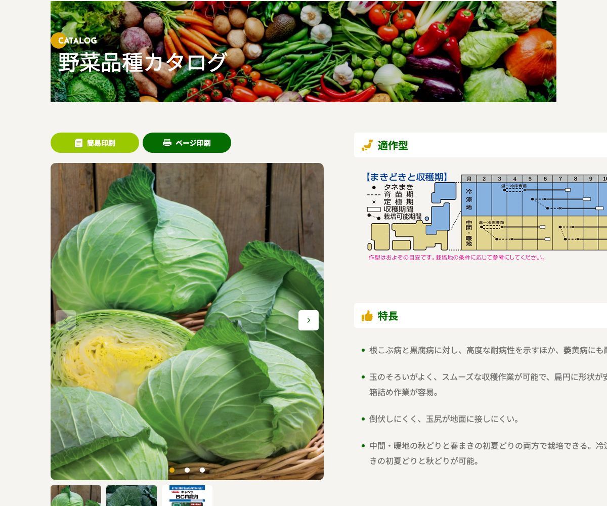 BCR龍月