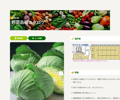 夢いぶきの画像