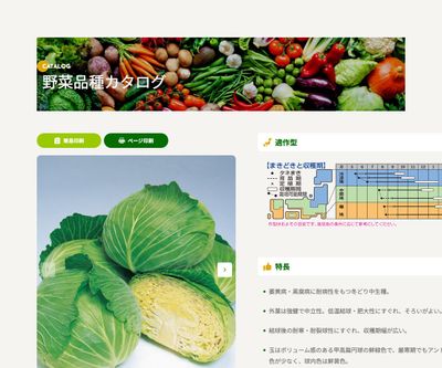 彩ひかりの画像