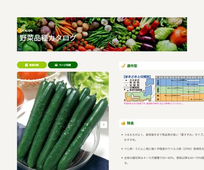 VR夏すずみの画像