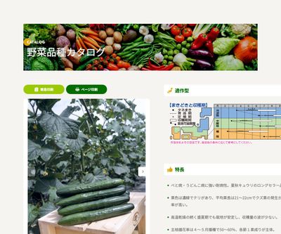 夏すずみの画像