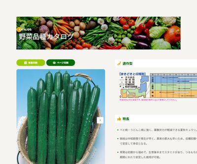 夏ばやしの画像