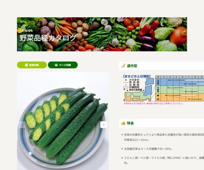 シャキットの画像