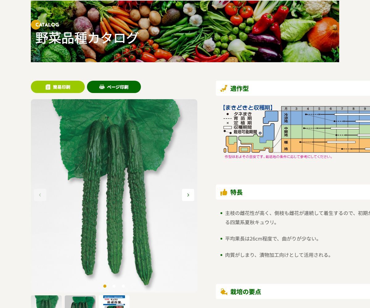 鈴成四葉