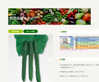 鈴成四葉の画像