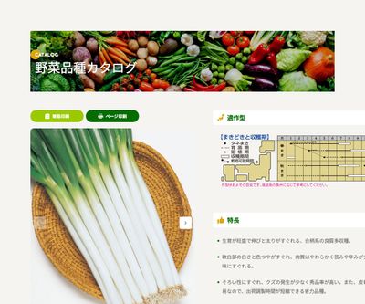 ホワイトスターの画像