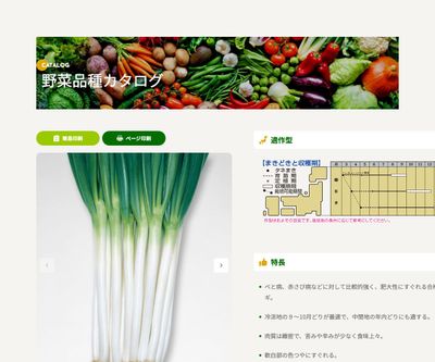 ホワイトタイガーの画像