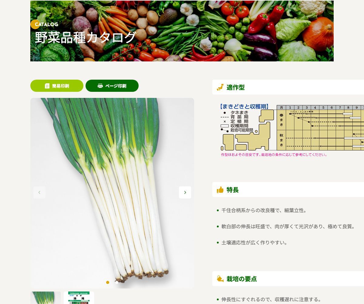 清滝