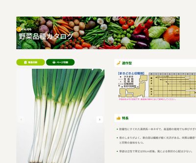 ホワイトツリーの画像