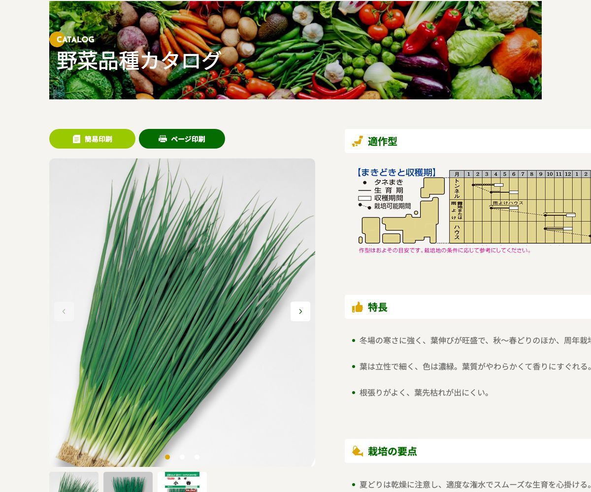 小春
