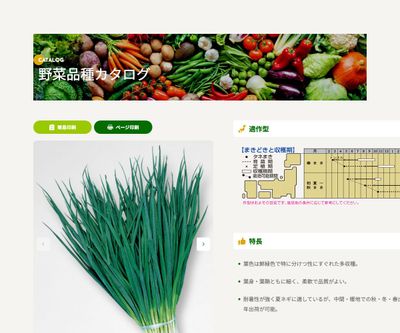 浅黄系九条の画像