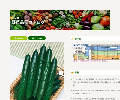 Vシュートの画像