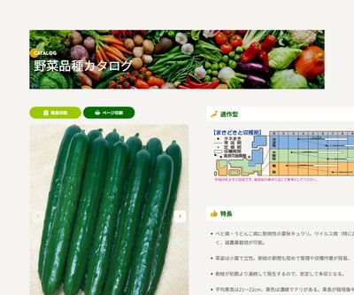 Vシャインの画像