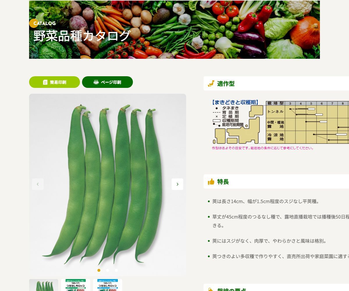 つるなしモロッコ