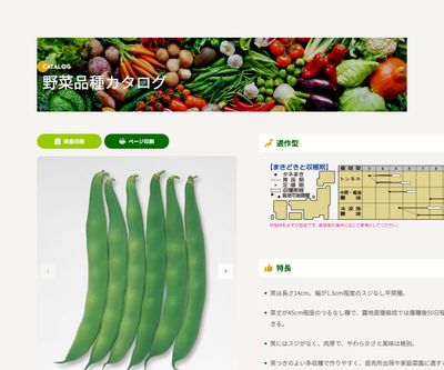 つるなしモロッコの画像