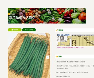 恋みどりの画像